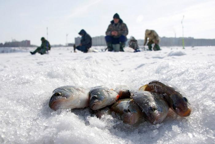 зимняя рыбалка в нижневартовске 