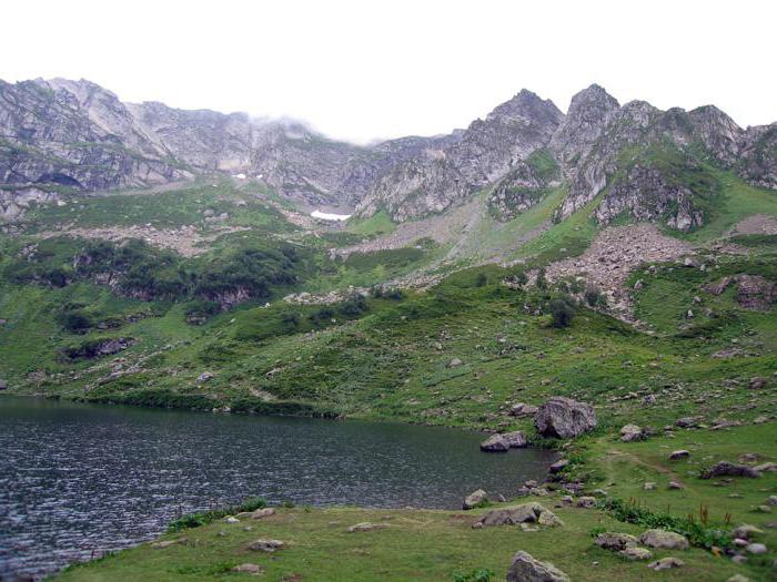 озеро мзы в абхазии 