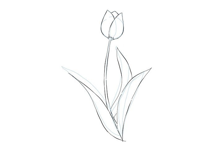 нарисовать тюльпаны акварелью