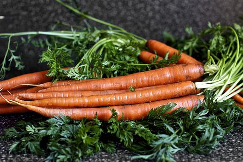 вращивание моркови в домашних условиях