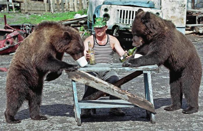 почему россия ассоциируется с медведем