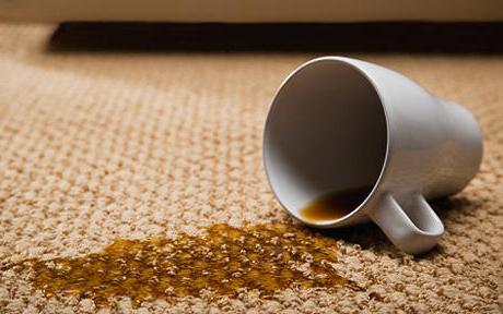 Средства для чистки ковров в домашних условиях