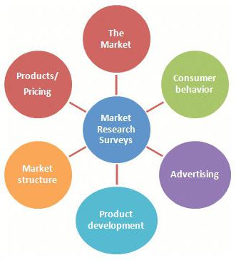 проведение маркетинговых исследований рынка