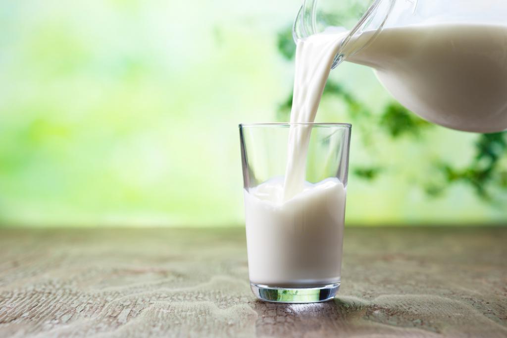 Молоко - главный продукт молочных пород