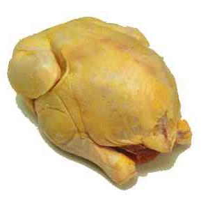 плимутрок полосатый порода кур 