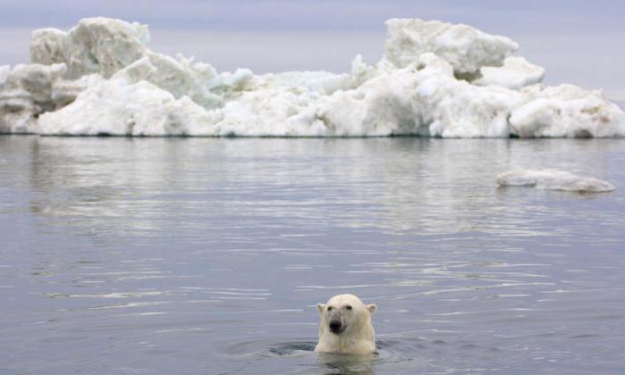средняя глубина Северного Ледовитого океана в метрах