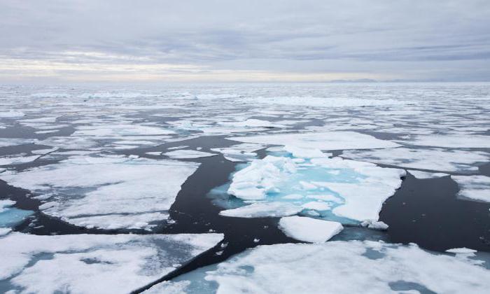 средняя глубина Северного Ледовитого океана