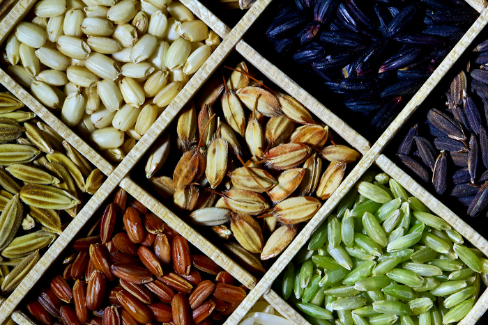 разновидности риса