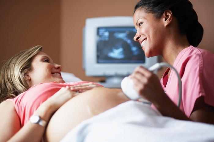 подготовка к узи брюшной полости и почек у беременных