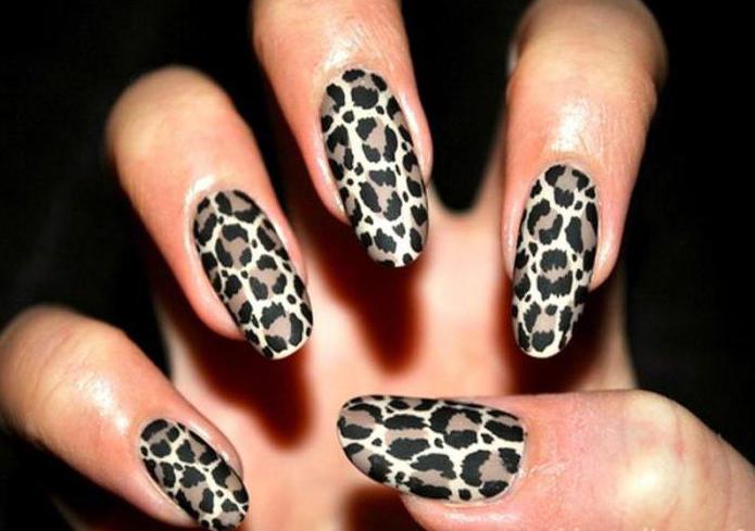 Дизайн ногтей "Леопард". Мастер-класс и тонкости выполнения 