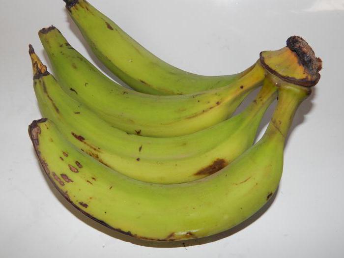 какие бананы считаются кормовыми 