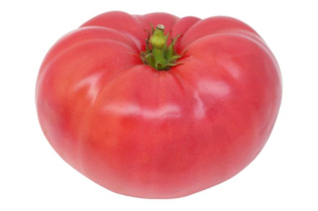 сорта томатов для грунта