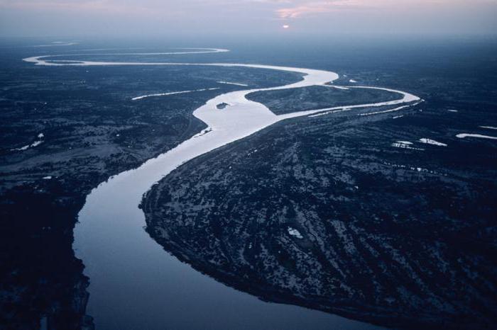 река шари африка