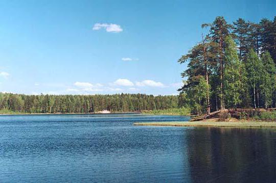 озеро пасторское рыбалка
