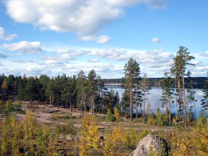 озеро высокинское ленинградской области