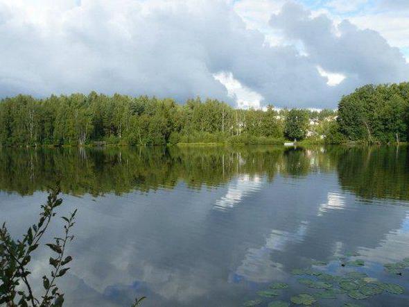 ждановское озеро рыбалка
