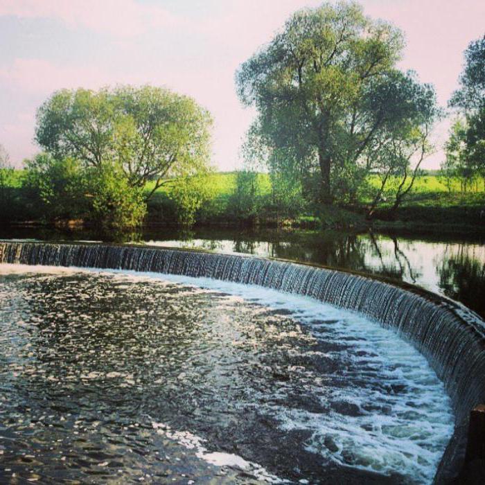 дрозды минск водохранилище