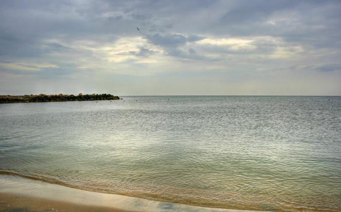 приморск азовское море фото