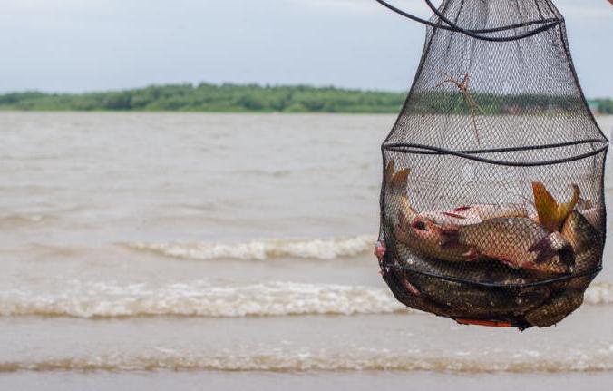 дмитровское водохранилище оренбург отзывы