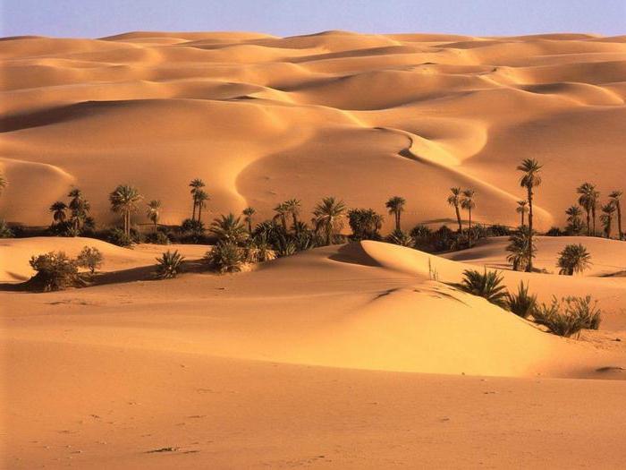 ливийская пустыня