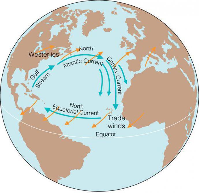 северное пассатное течение в атлантическом океане
