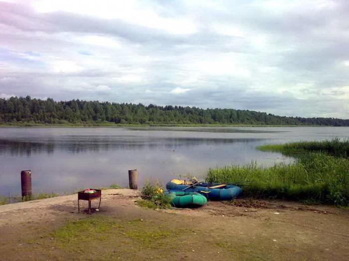 озеро вишневское база отдыха