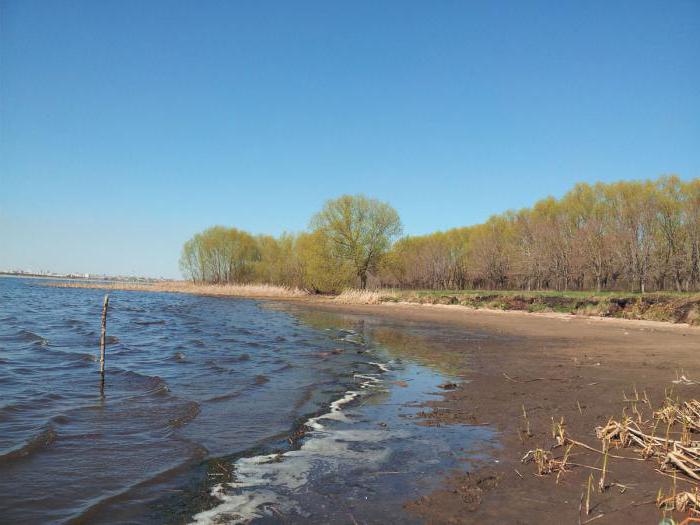 температура воды в шершневском водохранилище