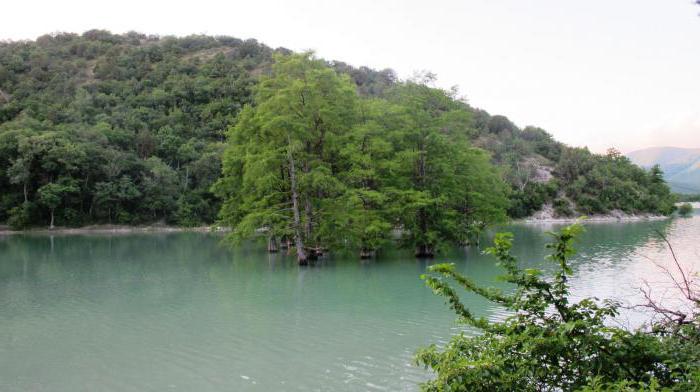 кипарисовое озеро сукко