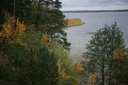 пять самых глубоких озер беларуси