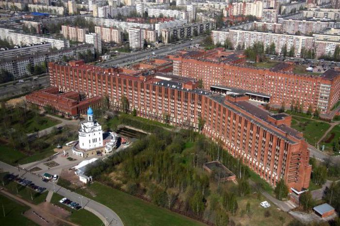 городские больницы санкт-петербурга