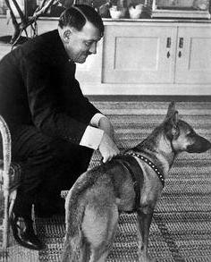 Собака Адольфа Гитлера