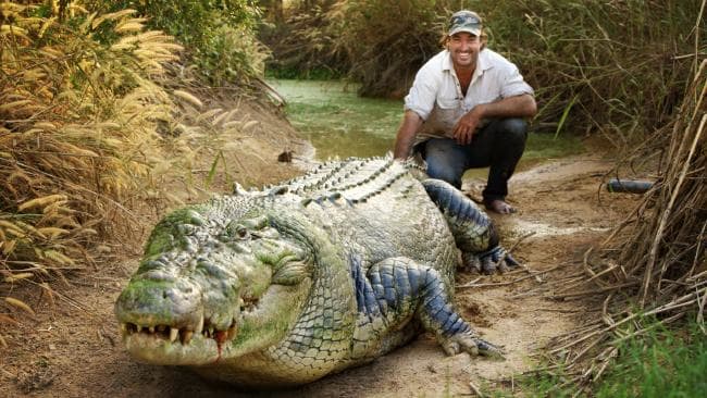 С крокодилом тоже можно подружиться