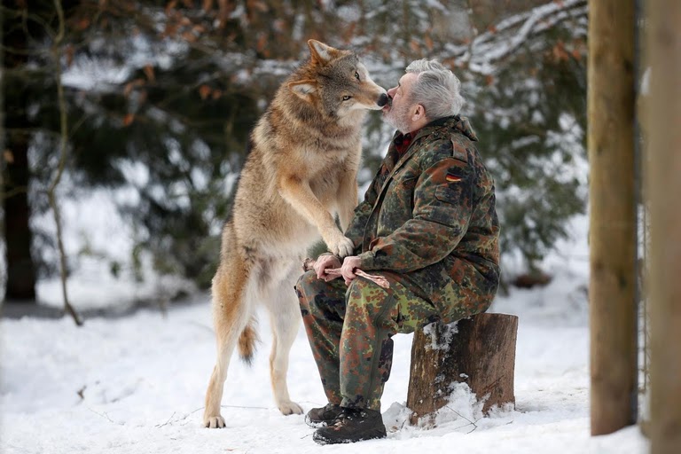 Волк тоже может стать другом