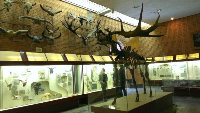 палеонтологический музей в москве адрес метро цена