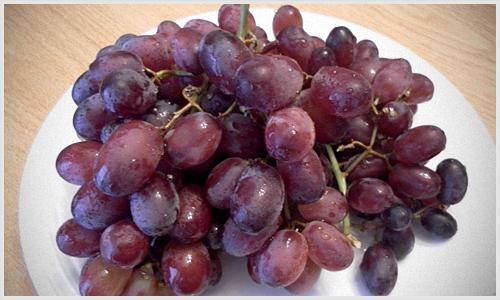 виноград румба