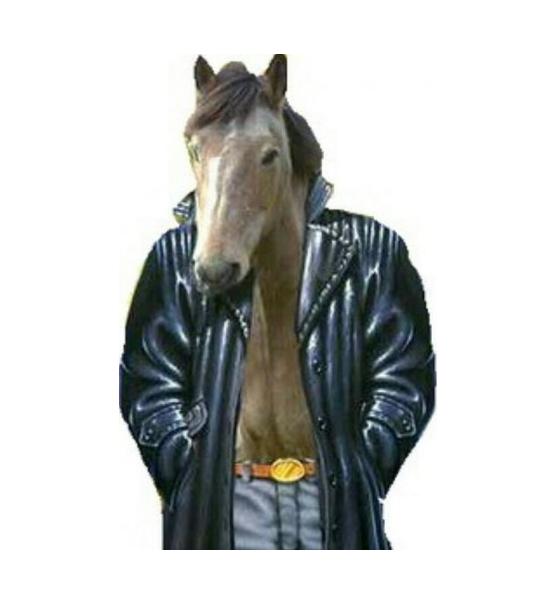 конь в пальто