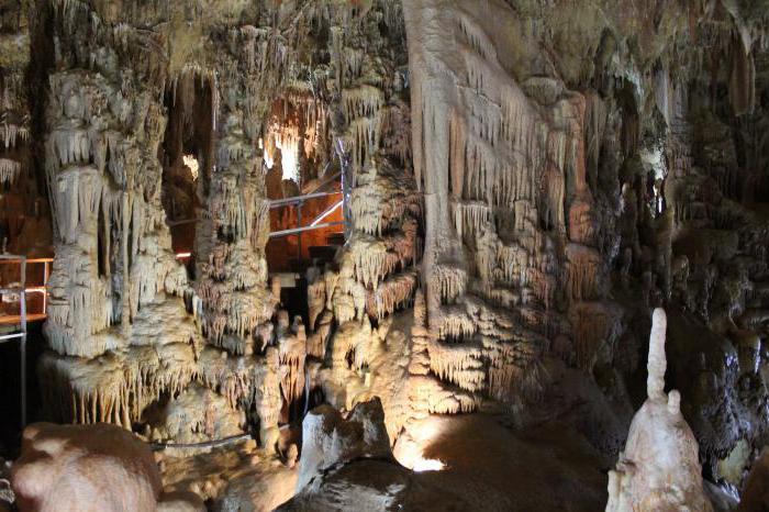 Пещера Петралона (Греция)