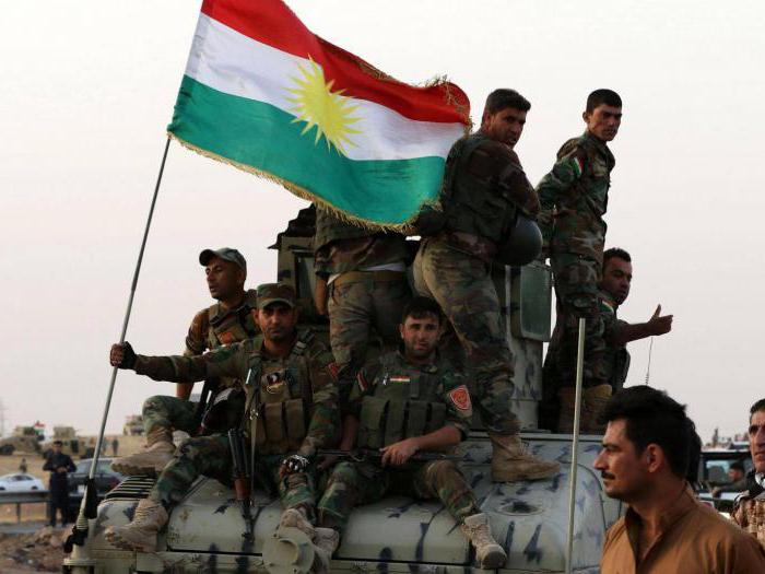 Ирак курды