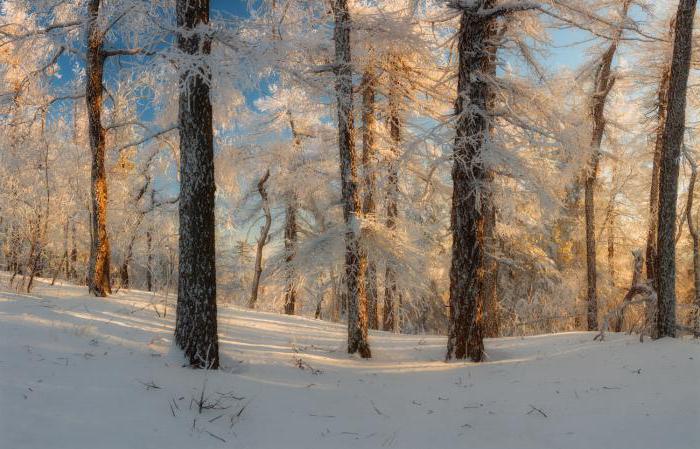 Зима Челябинской области