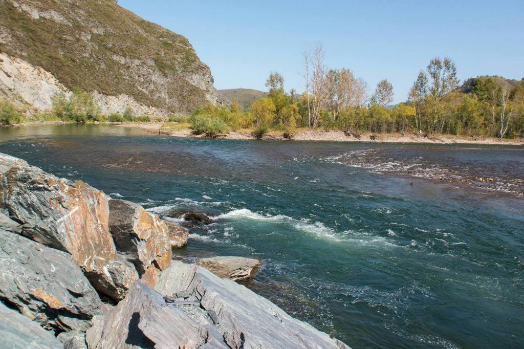 Водные потоки Чарыша