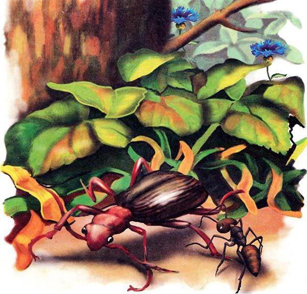 как муравьишка домой спешил сказка в бианки