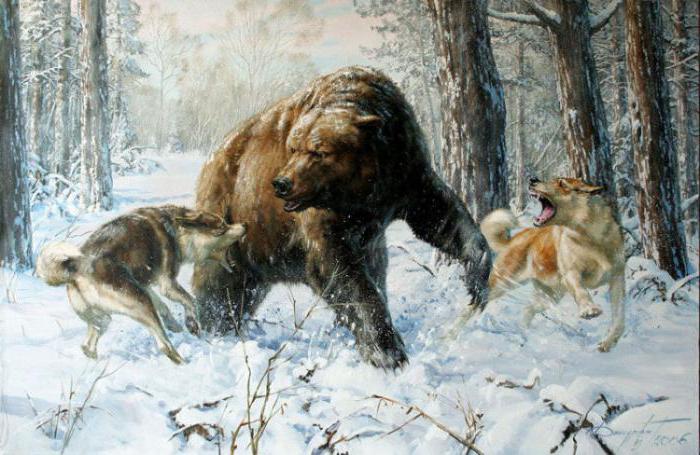 картина охота на медведя автор