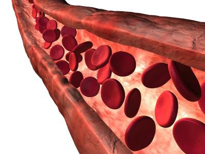 значение состав и функции крови