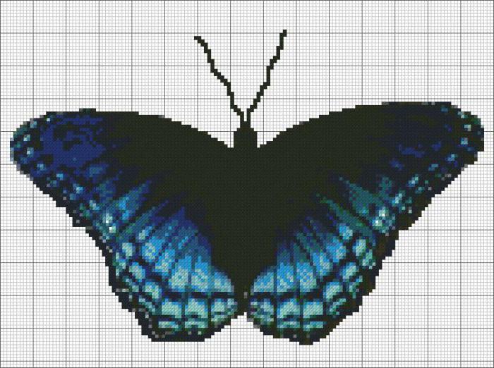 схемы бабочки крестиком