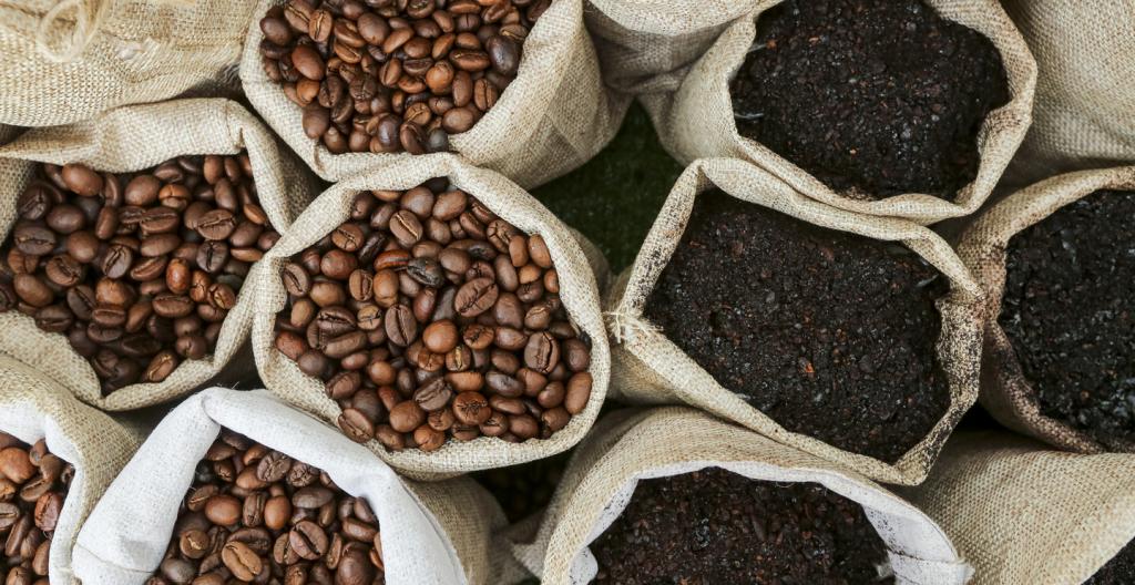 Самый вкусный кофе в зернах: названия марок, особенности обжарки и правила приготовления