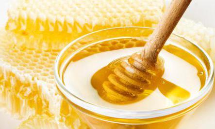 клеверный мед полезные свойства