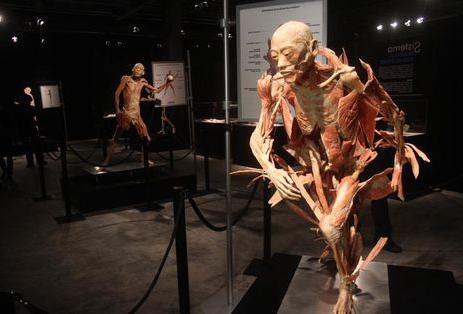 крупнейшая анатомическая выставка