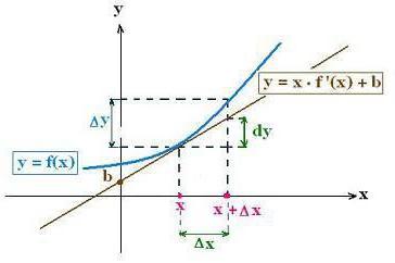 вычисление дифференциала