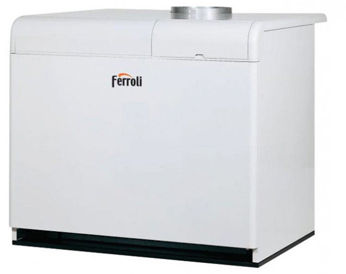 Инструкция по газовому котлу марки ferroli pegasus f3 187