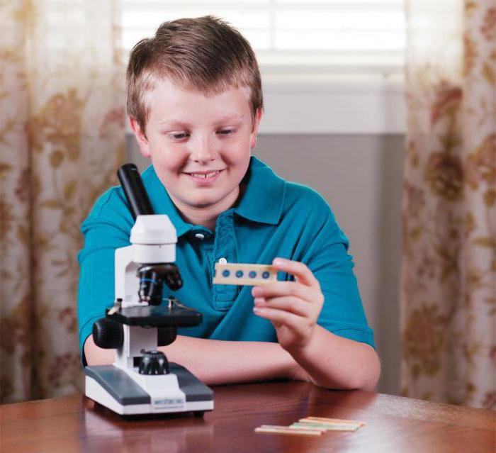 микроскоп для школьника